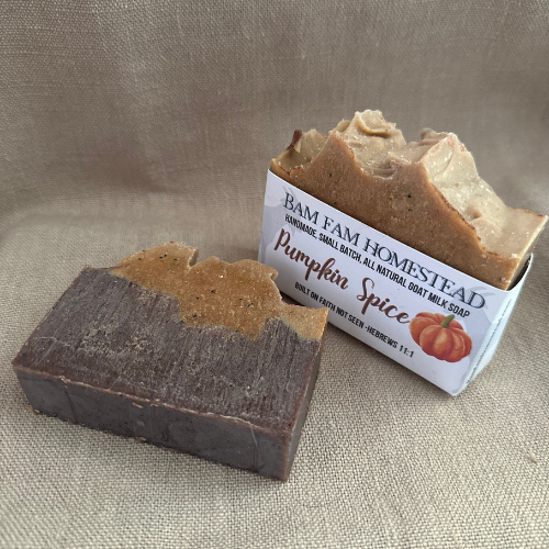 Pumpkin Spice Goat Milk Soap